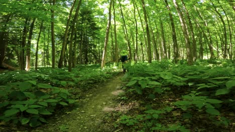 Riding-mountain-bike-through-green-forest