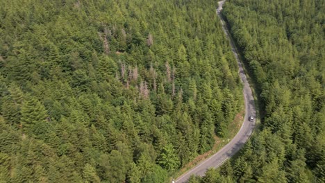 Kreisförmiger-Drohnenflug-An-Einem-Sonnigen-Tag-über-Einer-Straße-Mit-Vorbeifahrenden-Autos,-Die-Sich-Durch-Einen-Riesigen-Kiefernwald-In-Den-Bergen-Schlängelt
