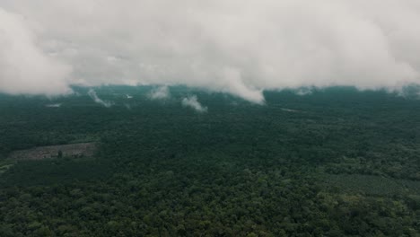 Toma-Aérea-Inclinada-Hacia-Arriba-Del-Paisaje-Nuboso-En-El-Cielo-Sobre-La-Exuberante-Selva-Amazónica-En-América-Del-Sur