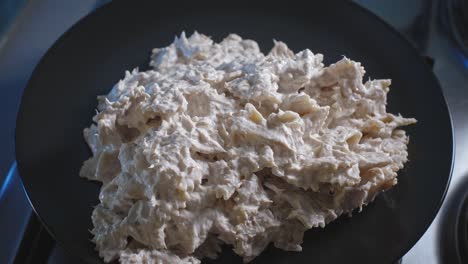 Portion-Nahrhafter-Thunfischnudeln-Mit-Käse-Und-Mayo-Auf-Einem-Teller