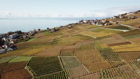 Aerial-view-of-Lavaux-vineyards-during-autumn,-leman-lake-behind-and-a-small-village,-Vaud,-Switzerland