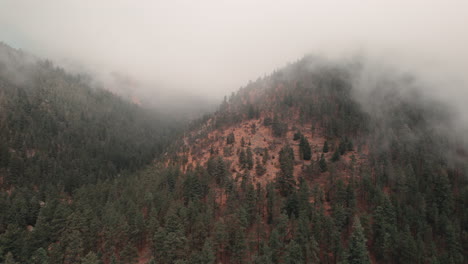 Slow-aerial-flyover-above-evergreen-forest-on-misty-peak-of-Cheyenne-Canyon,-Colorado