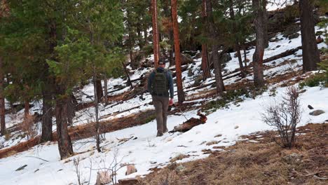 Solo-male-hiker-walking-away-from-the-camera-through-patches-of-snow-in-a-pine-forest