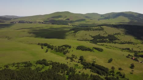 Drone-footage-of-green-mountain-fields-with-young-and-small-pine-forest,-flyover