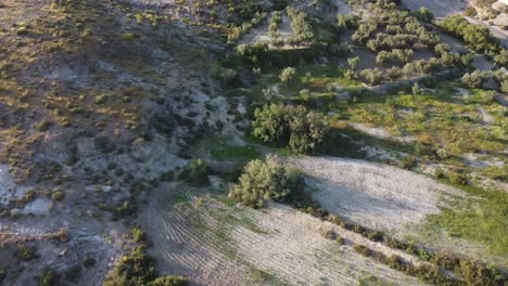 Flying-over-the-tabernas-desert-while-panning-up-during-the-golden-hour
