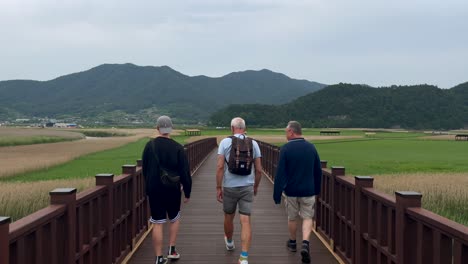 Slow-motion-shot-of-male-tourist-walking-over-bridge-crossing-river-and-plantation-fields-in-South-Korea---Yongsan-Observatory,Suncheon