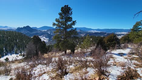 Vista-De-Senderismo-De-Invierno-A-Través-De-Las-Montañas-Rocosas-De-Montana-Cubiertas-De-Nieve-Y-El-Bosque-De-Pinos