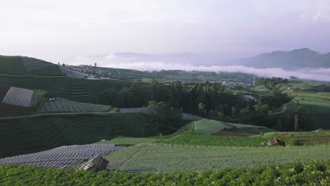 Wunderschöne-Terrassierte-Gemüseplantage-Am-Hang-Des-Sumbing-Mountain-Mit-Bewölktem-Himmel-Im-Hintergrund