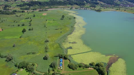Aerial-view-of-the-small-swiss-village-by-the-lake-and-lotus-flowers-in-the-lake