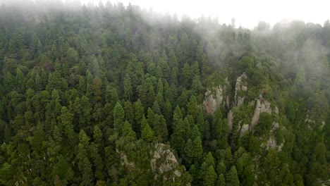 drone-shot-descending-from-the-forest-that-surrounds-the-south-of-mexico-city-during-a-very-cloudy-morning