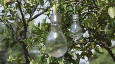 Light-Bulbs-Hanging-On-Tree