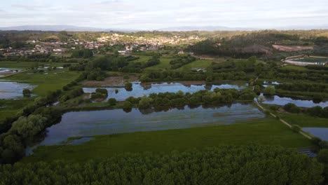 4K-aerial-view-of-the-lagoon-system-of-pateira-de-frossos-in-albergaria-a-velha,-drone-moving-forward-towards-the-houses-in-the-background,-60fps