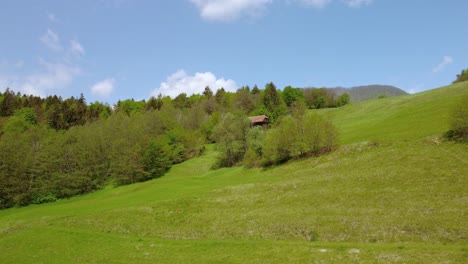 Flying-over-green-spring-meadows-in-front-of-old-hay-barn