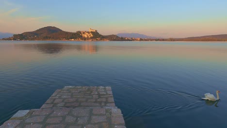 Weißer-Schwan-Schwimmt-Auf-Der-Glatten-Oberfläche-Des-Wassers-Des-Lago-Maggiore-Mit-Spiegelung-Der-Burg-Von-Angera-In-Italien