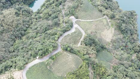 Aufsteigend,-Spektakulärer-Blick-Auf-Den-Feitsui-Stausee.-Der-Emerald-Lake-Ist-Die-Zweitgrößte-Wasserversorgung-Des-Staudamms-In-Taiwan-Und-Führt-Zu-Einer-Aussicht-Auf-Die-Berge-Mit-Hochwertigen-Teeplantagen-Im-Vordergrund
