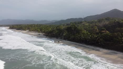 Rotating-aerial-of-waves-breaking-on-sunny-beach-and-hazy-green-jungle