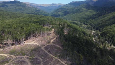 Aerial:-Hill-Forest-Deforestation-in-Romania,-Central-Europe---drone-panning-shot
