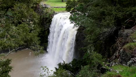 The-massive-Whangarei-Falls-after-flooding-throughout-the-region-in-Northland,-New-Zealand-Aotearoa