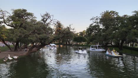 Aerial-dolly-in-of-boats-sailing-in-Rosedal-gardens-pond-in-Palermo-neighborhood-at-sunset,-Buenos-Aires