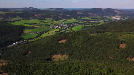 Aerial-view,-fir-trees-in-a-hilly-landscape