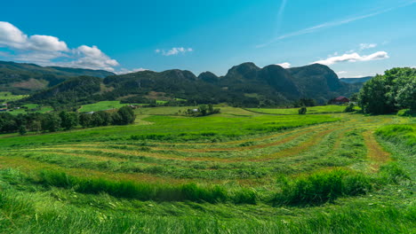 Silage-production-from-lush-green-fields-on-Norwegian-farm
