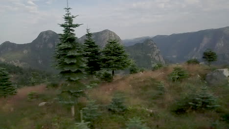 Montañas-Escénicas-Cubiertas-De-Pinos-Que-Revelan-Un-Lago,-Amplia-Toma-De-Drones-De-Paralaje