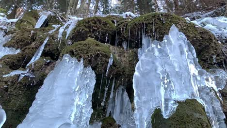 Blocks-of-icicles-and-water-drips-on-a-stone-wall-with-green-algae-grass-formation