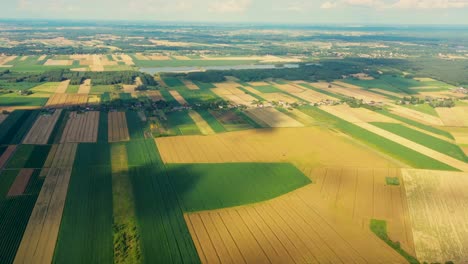 Green-abstract-image-of-diagonal-lines-from-different-crops-in-field-in-early-summer,-shoot-from-drone-directly-above-ground