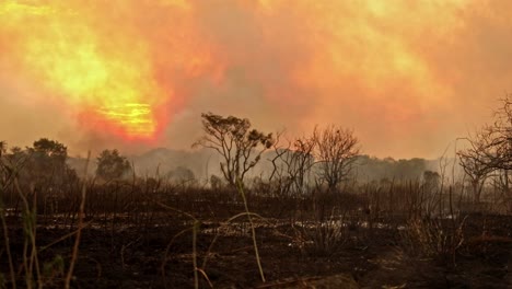 Rauch-Füllt-Den-Sonnenuntergangshimmel-Im-Brasilianischen-Pantanal,-Während-Abholzungsbrände-Die-Wildnis-Des-Feuchtgebiets-Verbrennen
