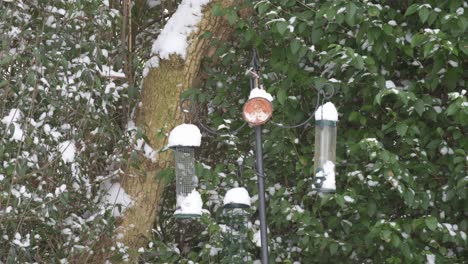 Drei-Futterhäuschen-Für-Vögel-Im-Schnee