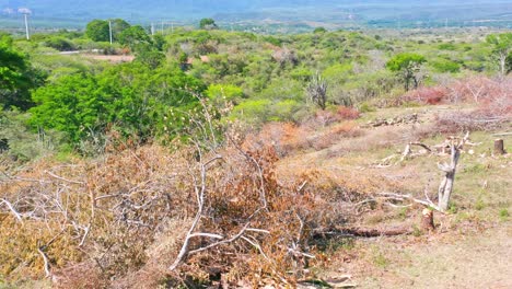 Abholzungsgebiet-In-San-Juan-De-La-Maguana-In-Der-Dominikanischen-Republik