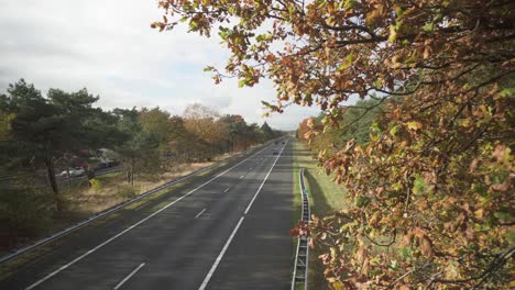 Cars-Driving-Fast-In-Asphalt-Road-From-Overpass-Bridge-With-Autumnal-Trees-On-A-Windy-Day