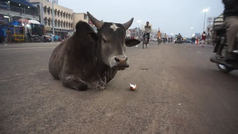 street-near-Jagannath-Temple,-Puri,-India,-Dec-2014