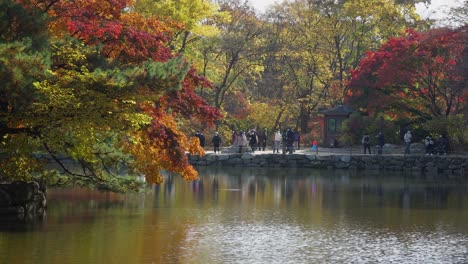 Autumn-landscape-of-Chundangji-pond-with-people-wearing-masks-during-covid-19-coronavirus,-Changgyeonggung-Palace,-Seoul-South-Korea
