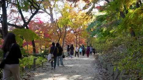 Herbstlaub-Im-Changgyeonggung-Palastgarten-Mit-Menschen-In-Gesichtsmasken,-Die-Vorbeigehen