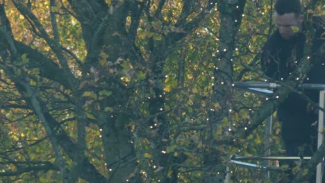 Male-climbing-tree-hanging-decorative-Christmas-lights-around-branches-on-cherry-picker-crane