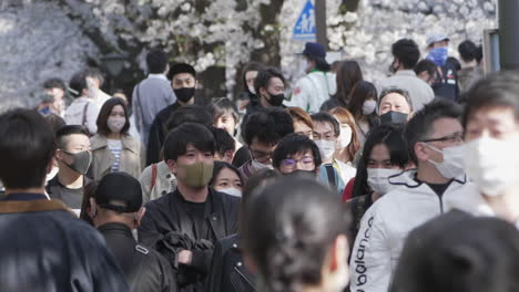 Bustling-Scenery-With-Crowded-People-Gathered-During-Sakura-Blossoms-Festival-Amidst-Covid-19-Pandemic-In-Tokyo,-Japan