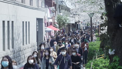 Überfüllte-Straße-Mit-Geschäftigen-Menschen,-Die-Während-Des-Kirschblütenfestes-Inmitten-Einer-Pandemie-In-Tokio,-Japan,-Eine-Maske-Tragen