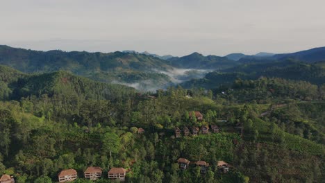 Luftaufnahmen-Des-üppigen-Tropischen-Waldes-In-Sri-Lanka-Mit-Isolierten-Resorts,-Die-Die-Neun-Bogen-Brücke,-Ella,-Enthüllen