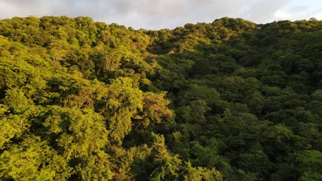 4K-Luftaufnahme-Des-Fluges-über-Einen-Regenwald-In-Mittelamerika-Bei-Einem-Warmen-Und-Farbenfrohen-Sonnenuntergang