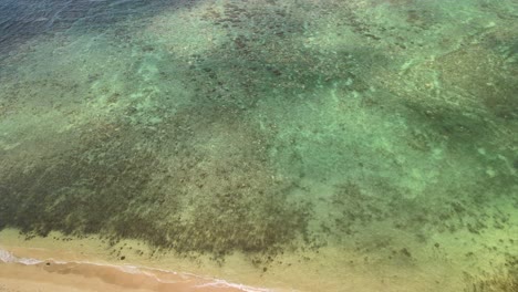 top-down-view-of-the-reef-on-oahu