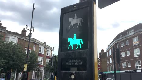 Pelican-road-crossing-point-for-horses-Wimbledon,-London