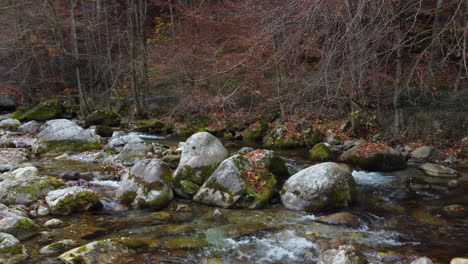 Fluss-Im-Bergwald-Mit-Roten-Und-Gelben-Bäumen-Herbstlaub