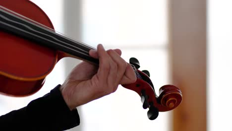 Close-up-of-ethnic-musician's-hands-playing-notes-on-the-neck-of-a-red-viola