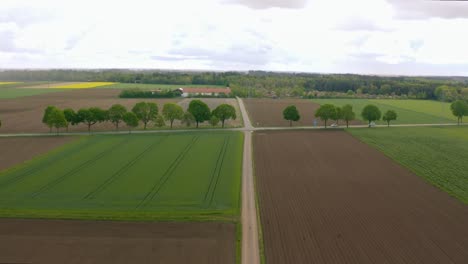 Fly-over-a-tractor-which-is-driving-along-a-argicultural-countryside-with-fields-at-a-rural-landscape,-filmed-by-a-drone