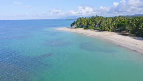 Aerial-flight-over-crystal-clear-Caribbean-Sea-and-sandy-beach-with-tropical-palm-trees-during-sunny-day---Las-Terrenas,Dominican-Republic
