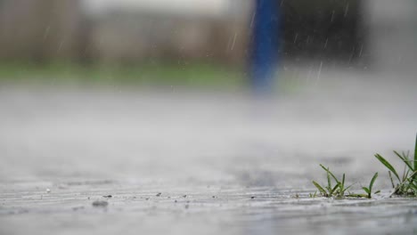 Rain-falling-on-a-small-patch-of-grass-and-plants-in-a-urban-setting---Slowmotion