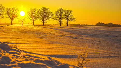 Malerische-Winterlandschaft-Mit-Blattloser-Baumallee-Und-Goldenem-Sonnenuntergang-Im-Hintergrund