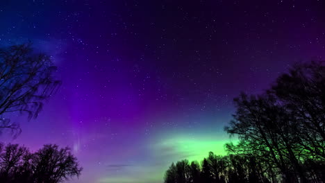 Epische-Aurora-Borealis-Und-Violetter-Himmel-In-Der-Nacht-Mit-Silhouette-Von-Bäumen---Sterne-Und-Kometen,-Die-Am-Himmel-Fliegen