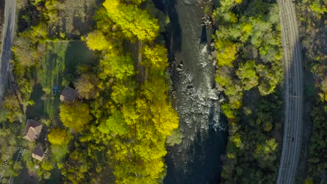 flying-over-river-with-green-trees-turning-yellow-in-autumn,-top-down